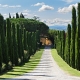 Stilechte Anreise zum Al Gelso Bianco – Zypressen links, Zypresse rechts, das Weingut im Blick