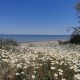Alkyona-Beach-Nord-Griechenland