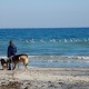 Alkyona-Beach-Nord-Griechenland-Kind-Strand-Pelikane