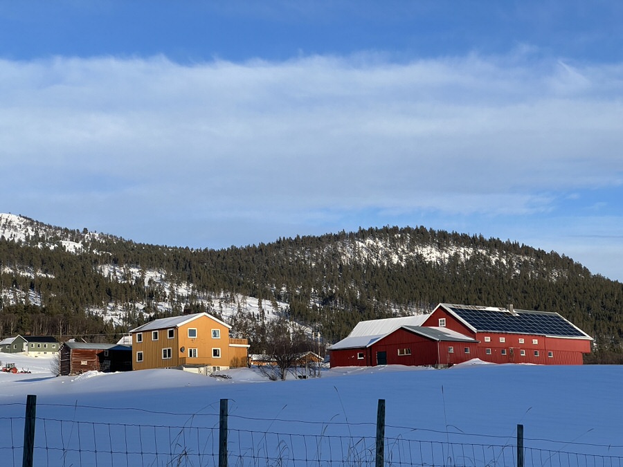Familienurlaub in Norwegen: Bunte Häuser zwischen Schnee und Wald...