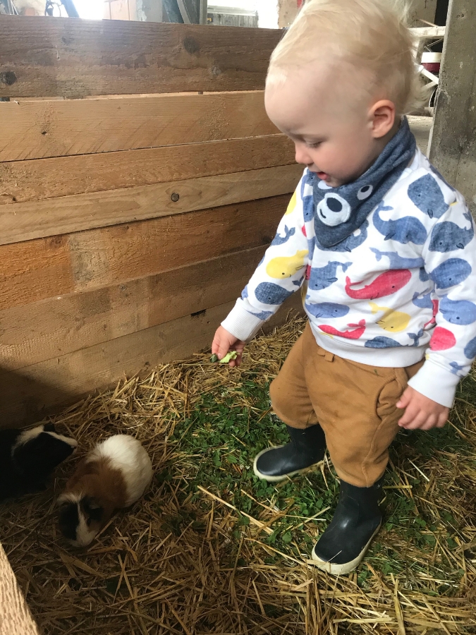 Bauernhofurlaub mit Baby