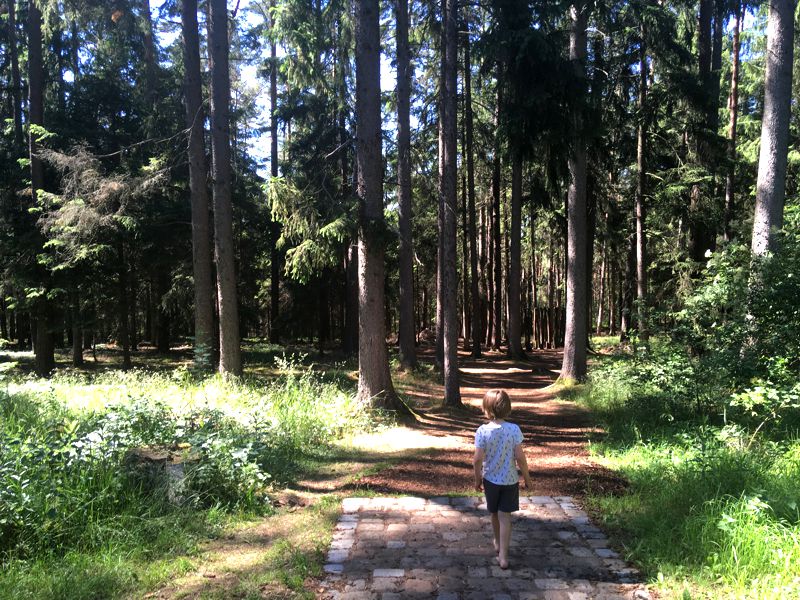 Urlaub mit Kindern im Fränkischen Seenland: Der Barfußweg ist super natürlich angelegt und führt die ganze Zeit durch den Wald - perfekt an einem heißen Sommertag, wie wir ihn hatten bei unserem Ausflug