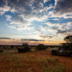 Die Landschaft um die Kalahari Anib Lodge