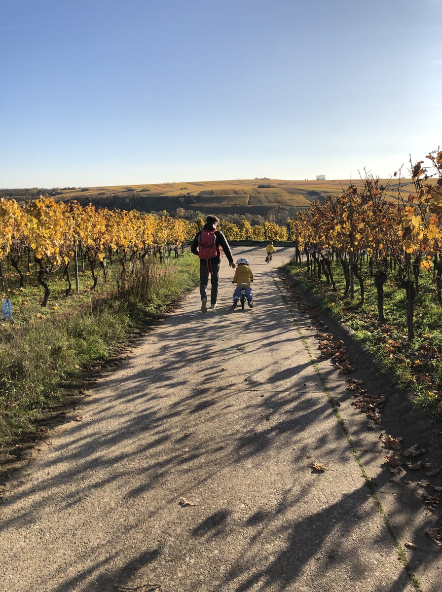 Urlaub in Süddeutschland mit Kindern: Im Herbst zeigt sich das hübsche Weinland Franken von seiner buntesten Seite. 