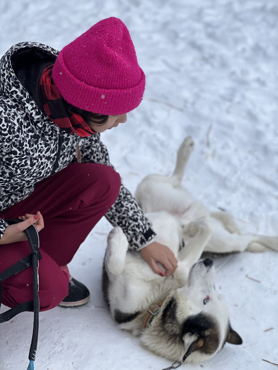 Huskyschlittenfahrt mit Kindern im winterlichen Norwegen