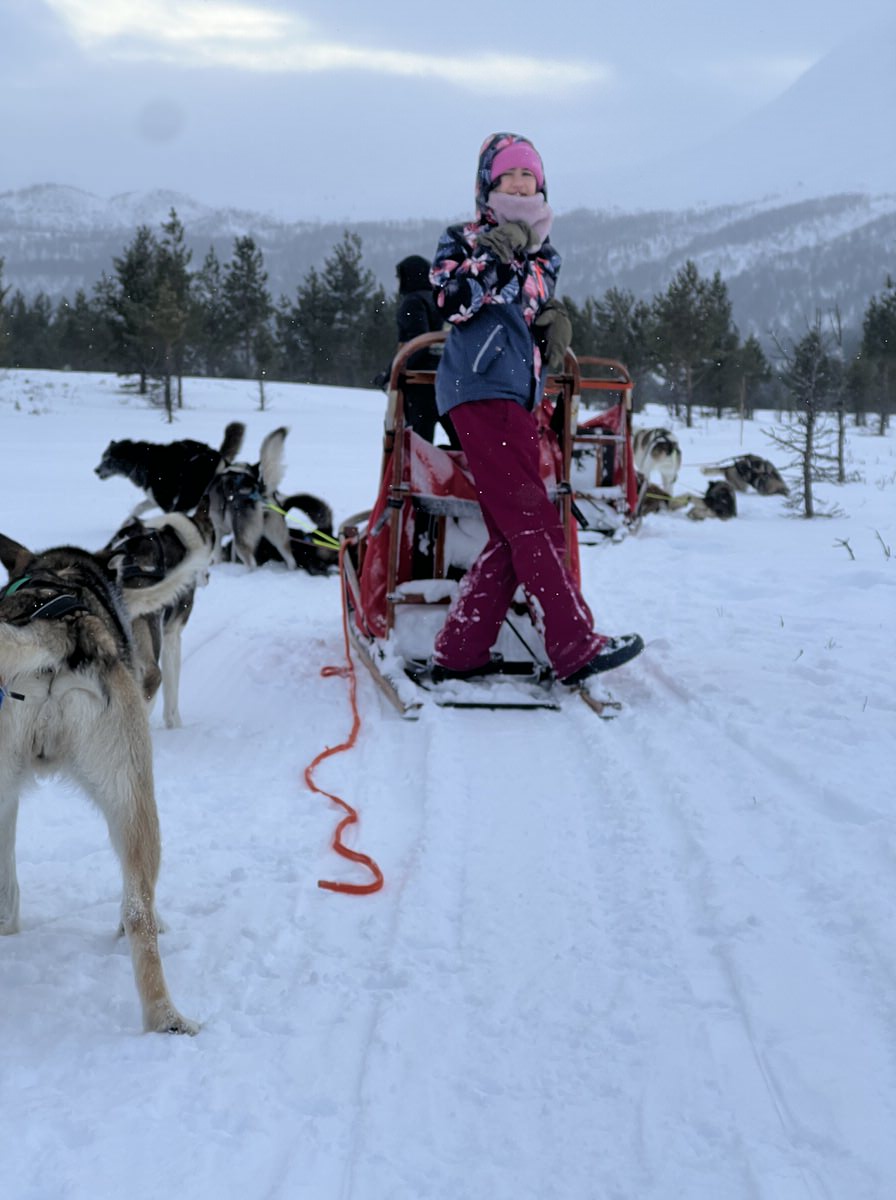 Kurze Pause im Schnee zum Abkühlen für die Huskies. Nach 5 Minuten wollen sie aber schon ungeduldig wieder weiter! (Bild: Sonja Alefi)