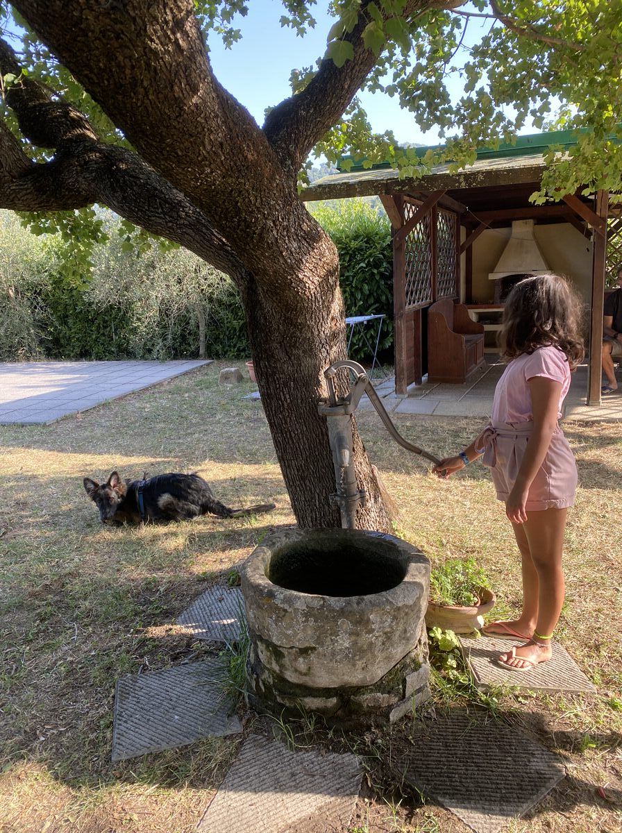 Urlaub mit Kindern und Hund auf dem Bauernhof