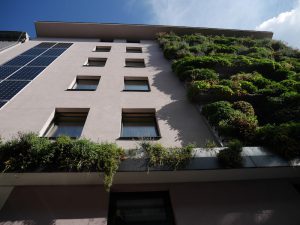 Das Null-Energie-Haus ist auch von außen eine „grüne Lunge“