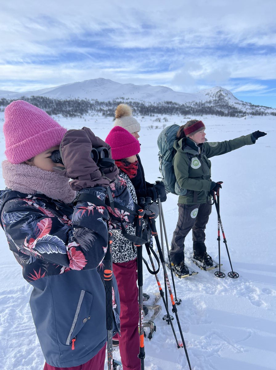 Dovrefjell Nationalpark im Winter mit Kindern: Im Fernglas werden die schwarzen Punkte zu Moschusuochsen (Bild: Sonja Alefi)