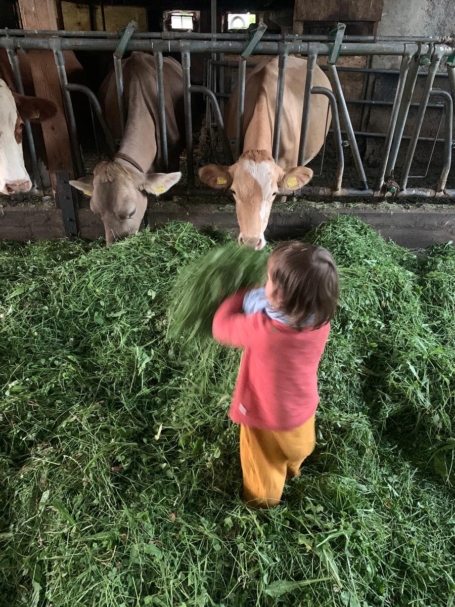 Bauernhofurlaub mit Kindern ist der perfekte Familienurlaub. Die Kleinen sind im Paradies mit all den Tieren zum Streicheln, Füttern und Reiten und lieben es selbst mit anzupacken. Und die Großen genießen die Natur und Entspannung pur. 