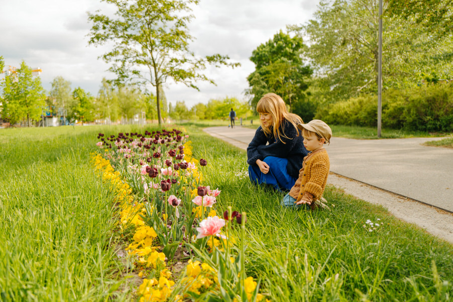 Im Frühling ist es in Brandenburgs Parks besonders schön Foto: TMB Fotoarchiv/Julia Nimke