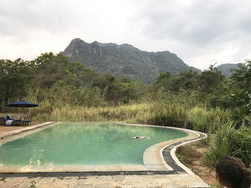 Einen beeindruckenden Ausblick auf den Monkey Hill hat man sowohl vom Restaurant als auch vom Pool aus. Asien mit Kindern ist toll in Sri Lanka