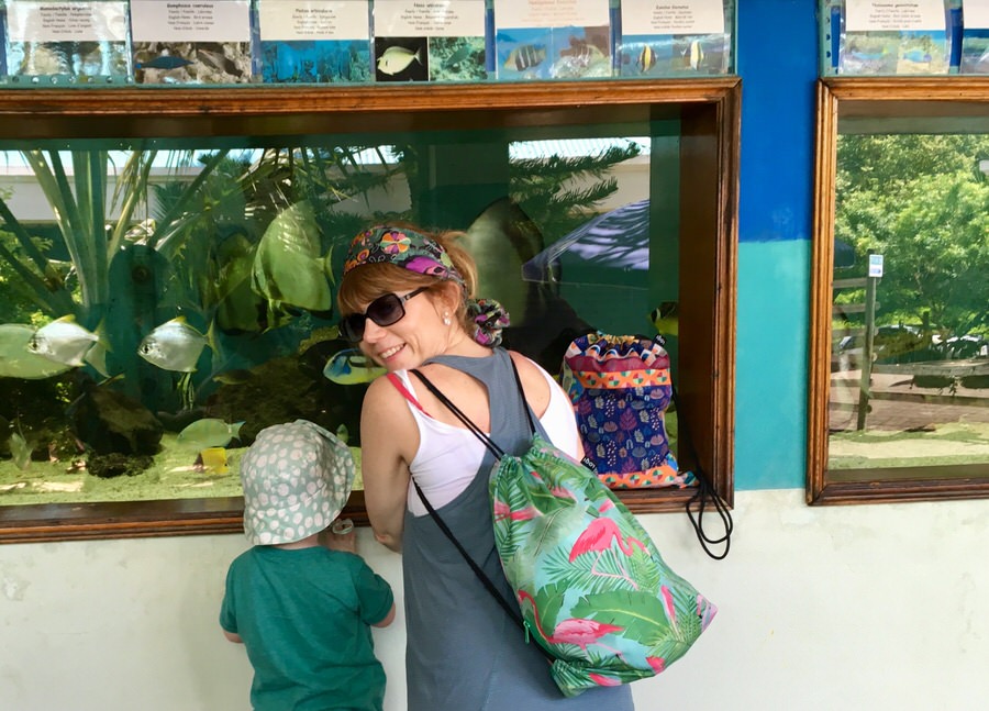 Fische besuchen im Aquarium auf Mauritius (Bild: Little Travel Lady Vanessa)