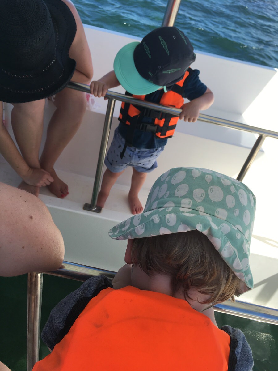 Auch auf einem Glasbodenboot kann man prima Fische gucken. Foto: Vanessa Bujak