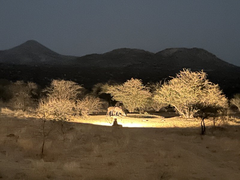 Das Wasserloch am Abend in der Ai Aibalodge: Vom Lagerfeuer aus fotografiert