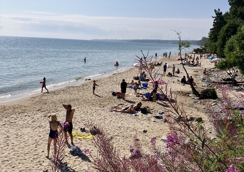 Schweden mit Kindern: Im Sommer habt Ihr oben im Norden laaaange Tage und besonders in Südschweden könnt Ihr feine Strände finden. Foto: Vanessa Bujak