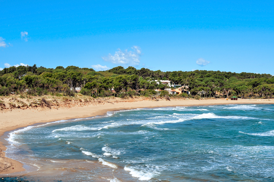 Strandurlaub in Spanien: wie das an der Costa Brava nach Pinien duftet!