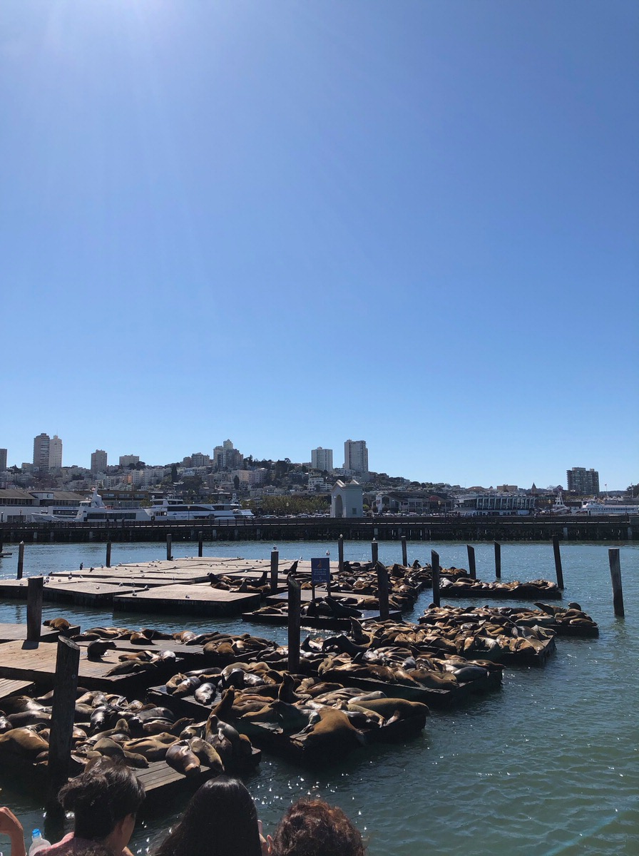 USA mit Kindern: Fisherman's Wharf in San Francisco