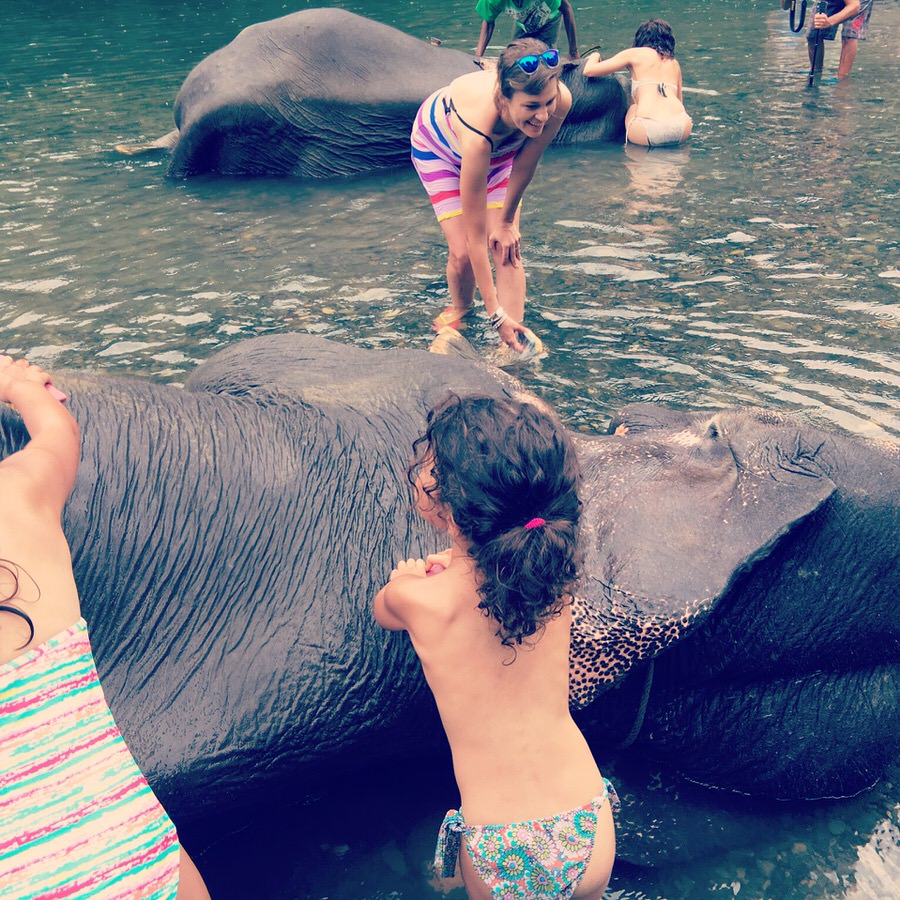 Elefantenwaschen auf Sumatra (Foto: Sonja Alefi)
