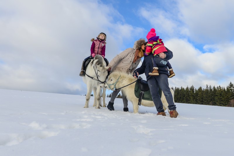 Urlaub in Süddeutschland mit Kindern: Der Bayerische Wald hat so viel für Familien zu bieten: Familienresort mit Wellness und Pool, Natur und Outdoor Attraktionen